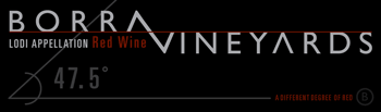 Borra Vineyards Red Wine