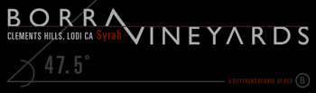 Borra Vineyards Syrah