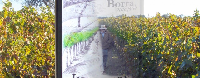 As if creating a new dry blend of little-known white wines wasn’t enough of a challenge, our winemaker, Markus Niggli, had to come up with a name for our new...