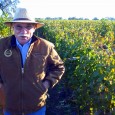 STEVE THE MAVERICK Back in the ‘70s, Lodi was known only for big co-op wineries, producing sweetish jug wine. Then along came Steve Borra. Steve wasn’t interested in following the [&hellip;]